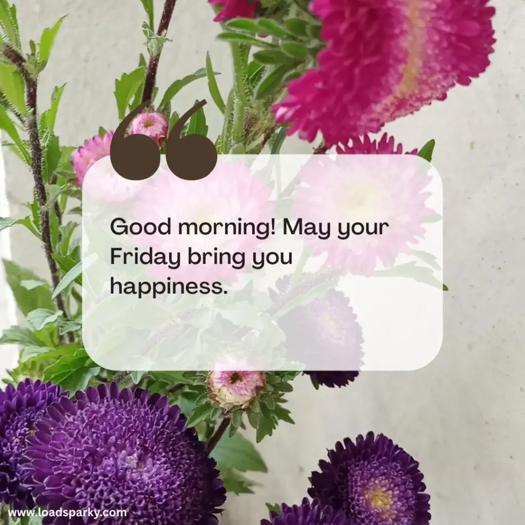 A vibrant bouquet of purple and pink flowers with a cheerful message overlay wishing a happy Friday morning.