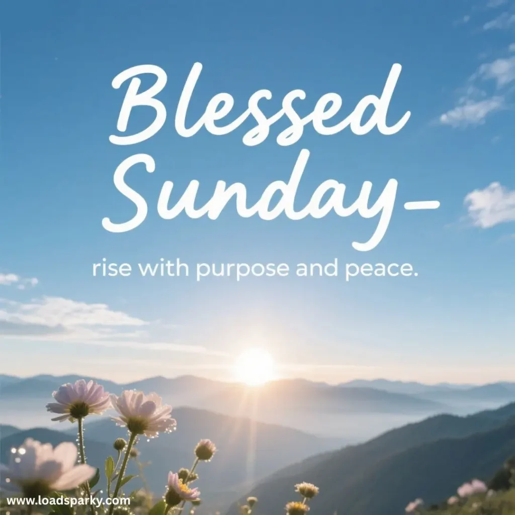 A serene sunrise over mountains with flowers in the foreground and text Blessed Sunday - rise with purpose and peace.